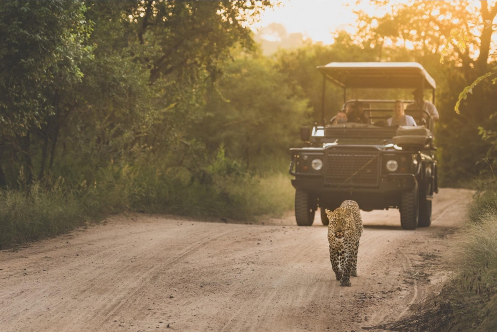 Serengeti, Tanzania